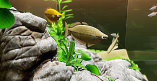 Fish Game - Asia Fish Pack 1