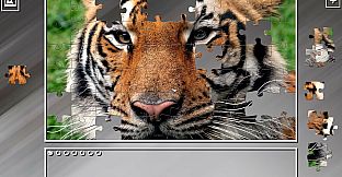 Super Jigsaw Puzzle: Generations - India