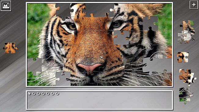 Super Jigsaw Puzzle: Generations - India