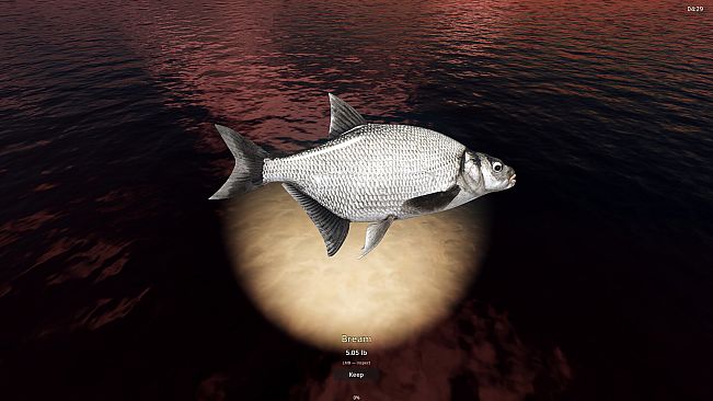 Rogoz Fishing