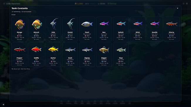 My Beautiful Aquarium