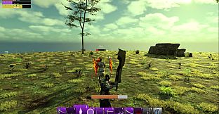 Souls in Conflict