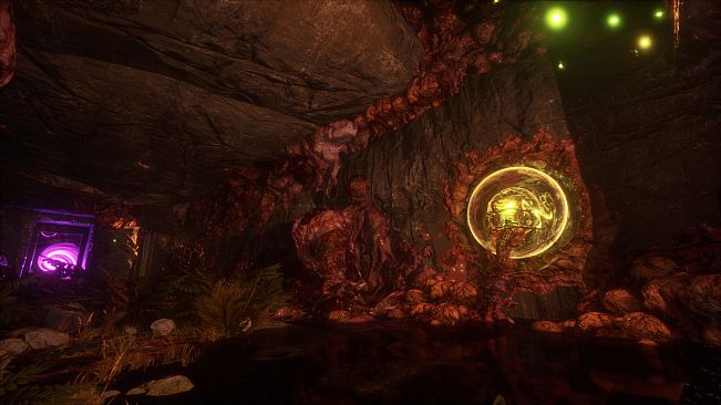 Shadow Dreams: The Last Thought of Hope