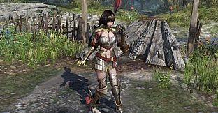 WARRIORS OROCHI 4 - Special Costumes Pack 2