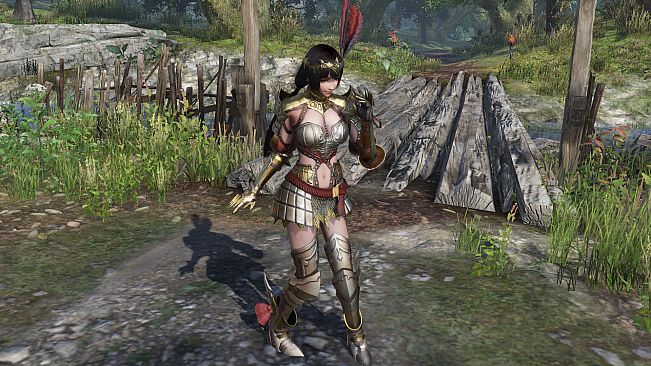 WARRIORS OROCHI 4 - Special Costumes Pack 2