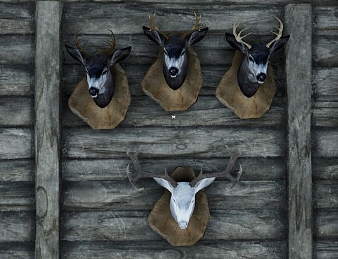 Wilderness Survival: The Conservationist