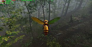 Giant Hornet