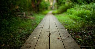 My Ex-Future Family Season 2: Walkthrough