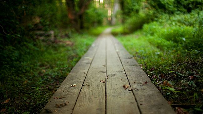 My Ex-Future Family Season 2: Walkthrough