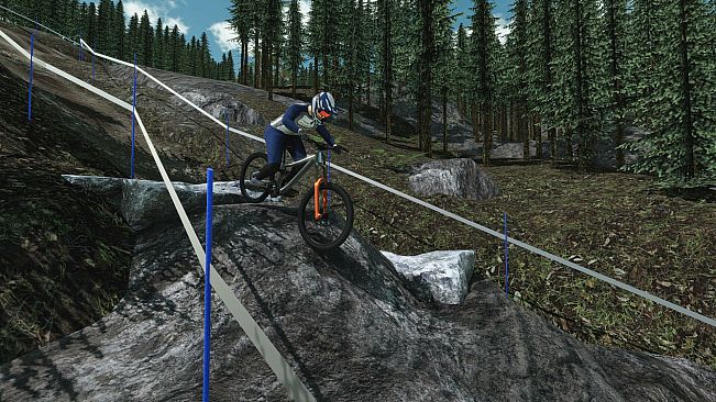 Downhill Pro Racer