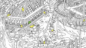 Where Kiwis 几维鸟在哪里