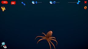 How Much Items - Fishes