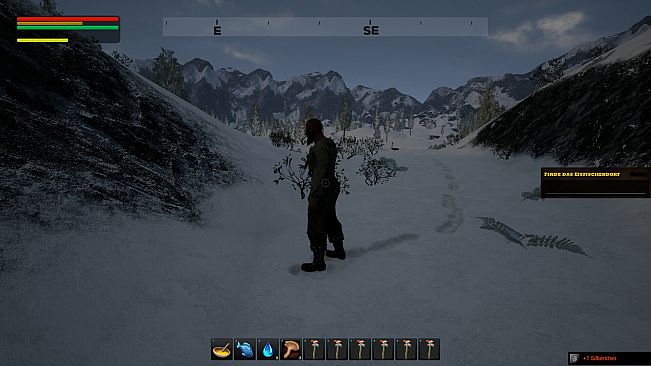 Der Pfad des Pinguins