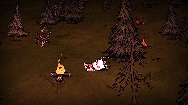 Don't Starve Together: Starter Pack 2026