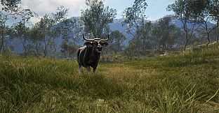 theHunter: Call of the Wild - Emerald Coast Australia