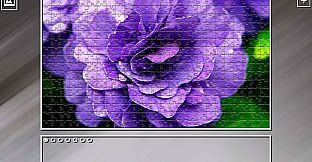 Super Jigsaw Puzzle: Generations - Flowers 2