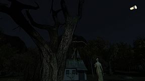 The Secret of Pineview Forest