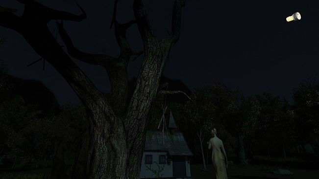 The Secret of Pineview Forest