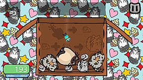 Pushika - Cat Suika Game