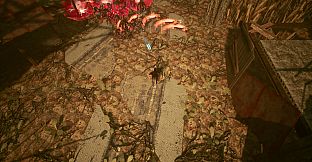 Shades Of Rayna - Warrior Class