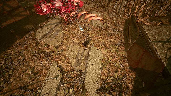 Shades Of Rayna - Warrior Class