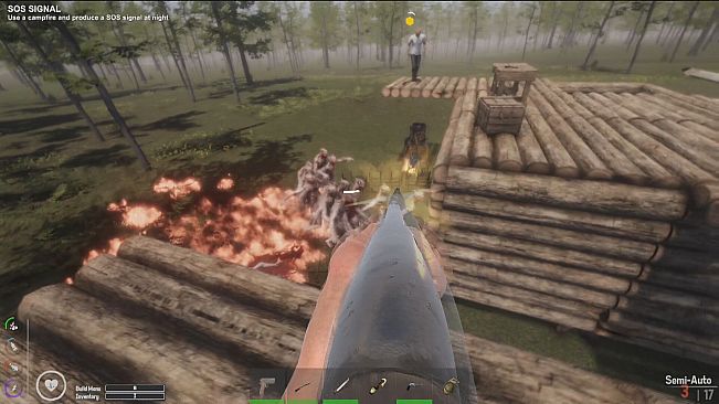 The Seekers: Survival