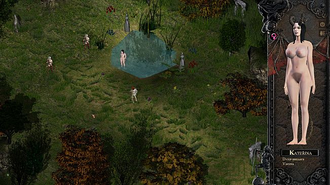 Desires of the Amazons