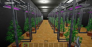 Drug Farmer Simulator