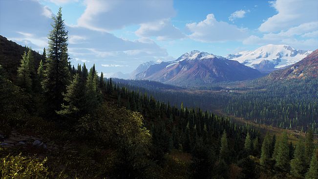 Way of the Hunter - Aurora Shores