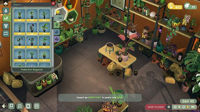 Leafy Corner