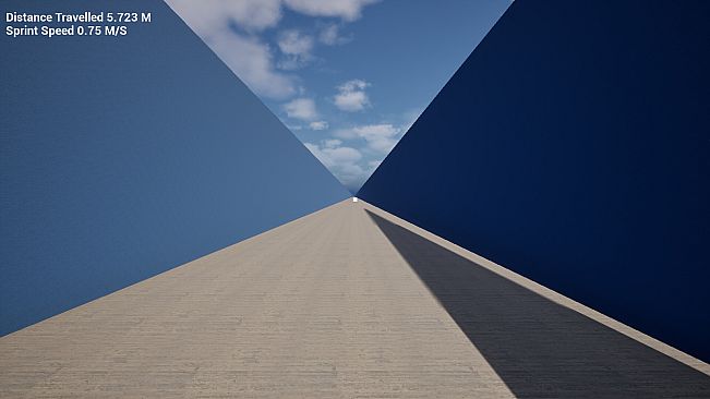 The Endless Hallway