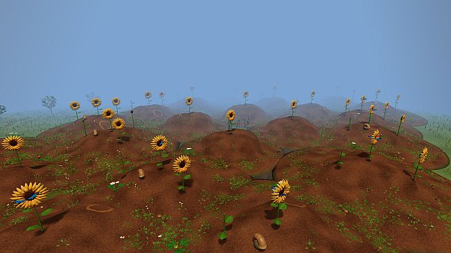 From a Single Seed
