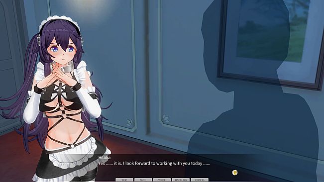 CUSTOM ORDER MAID 3D2 Character EX Pack Perverted Extreme Masochist