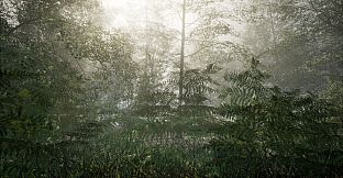 Obey the Rules: Forest