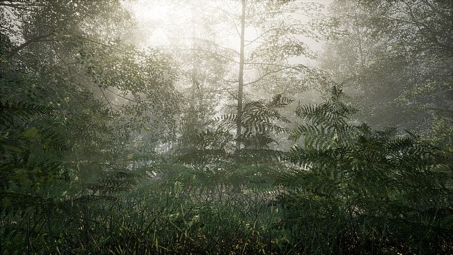 Obey the Rules: Forest