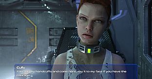 Intruder on the bridge - Cully