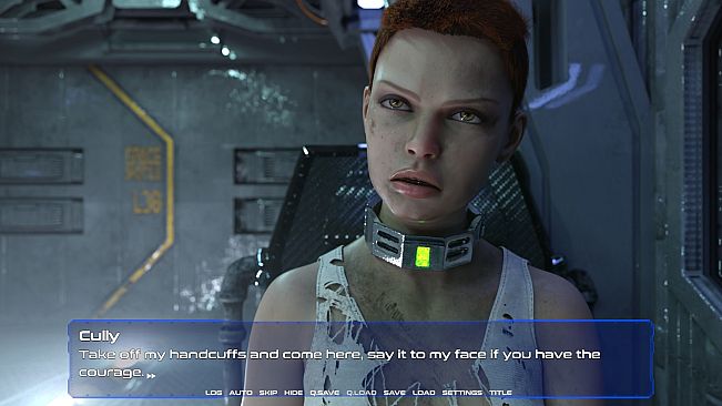 Intruder on the bridge - Cully