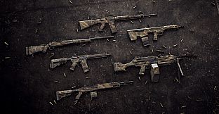 Insurgency: Sandstorm - Endurance Weapon Skin Set