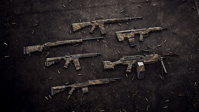 Insurgency: Sandstorm - Endurance Weapon Skin Set