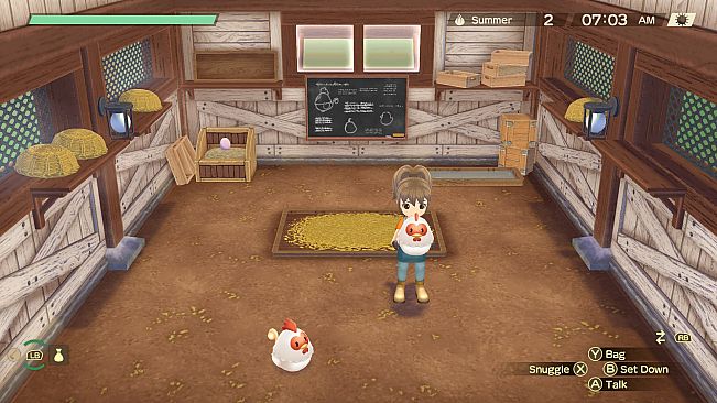 STORY OF SEASONS: A Wonderful Life
