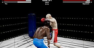 Boxing Simulator