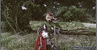 Remote Knights Online