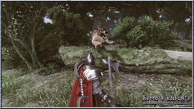 Remote Knights Online