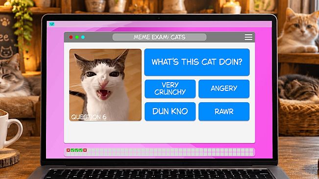 Meme Exam: Cats