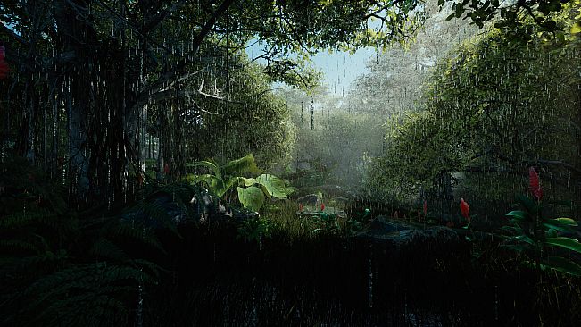 RPGScenery - Jungle Scene
