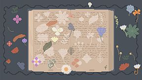 Raccoon Cocoon: A Cozy Puzzle Game