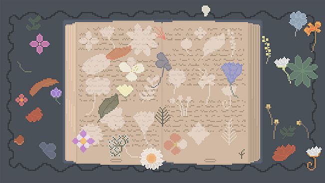 Raccoon Cocoon: A Cozy Puzzle Game