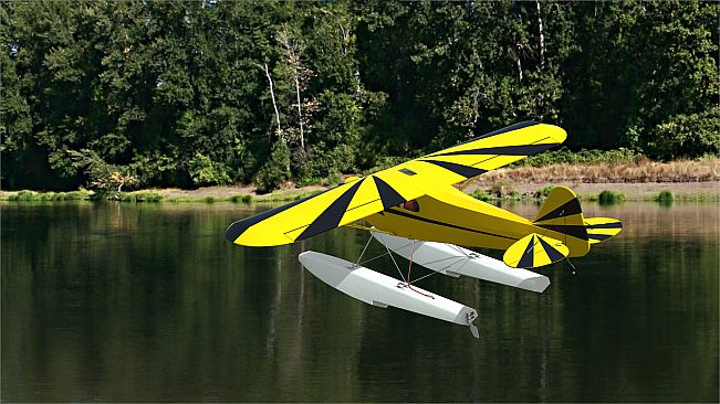 RealFlight Evolution – Hangar 9 Clipped-Wing Cub 10cc