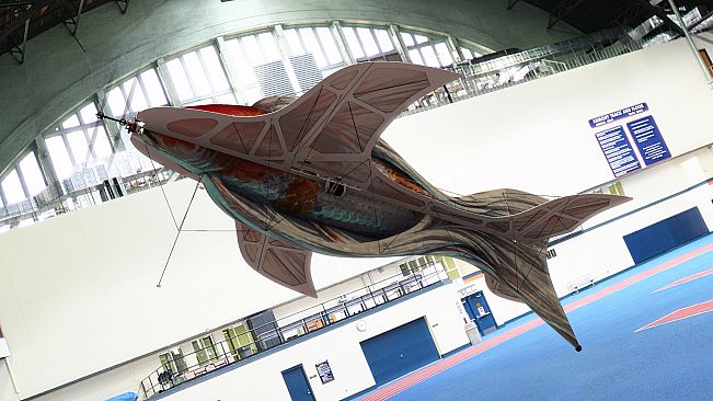 RealFlight Evolution - Koi (F3P-A)