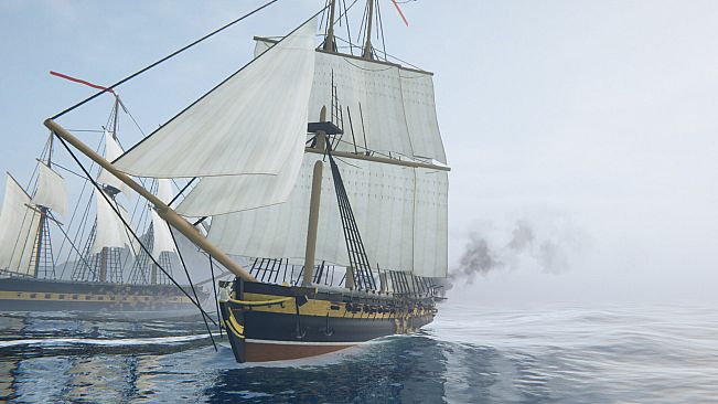 New World Trading Company